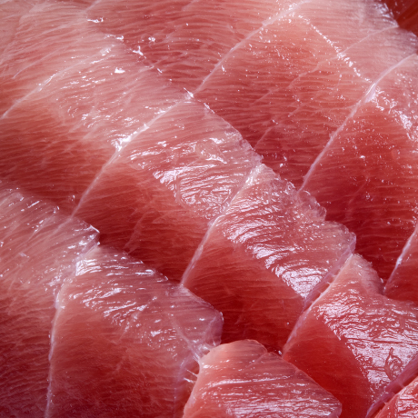 Bluefin tuna From TOYOSU Market